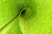 世界游艇青年赛海上摄影师培训结业，海运摄影大赛
